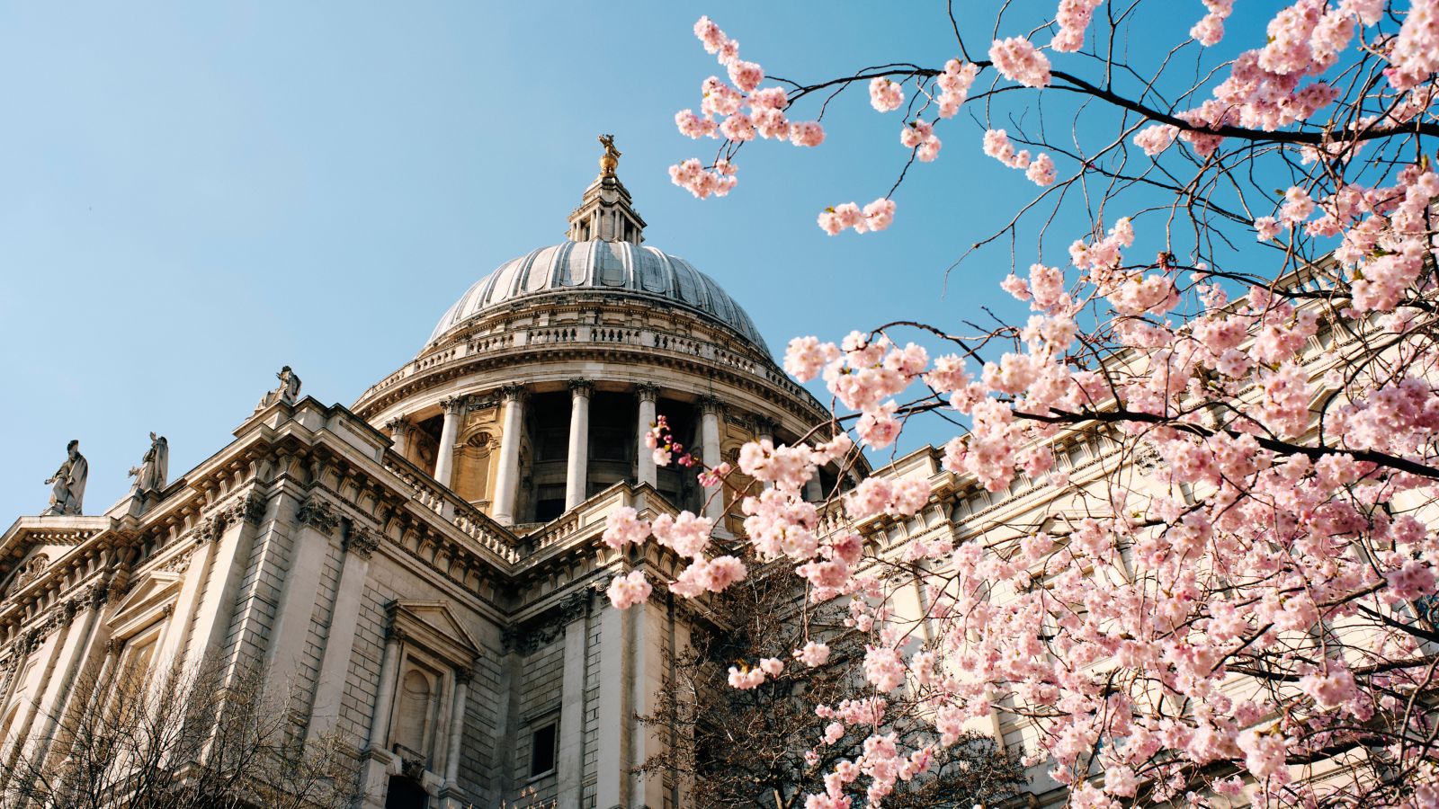 Edinburgh/fringe/festival