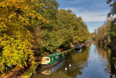 The peaceful canal in Cassiobury Park, Watford, with moored boats and a pair of swans