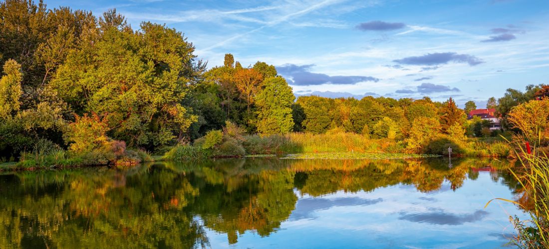 Golden Hour Reflections: Sunset on a pond in Santeny, France