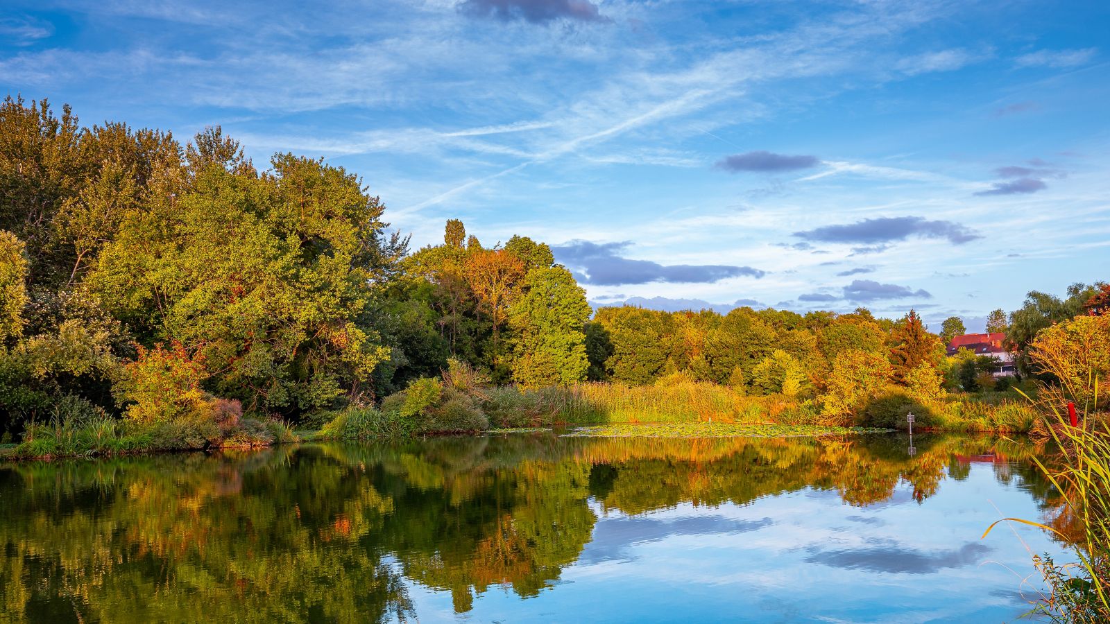 Golden Hour Reflections: Sunset on a pond in Santeny, France