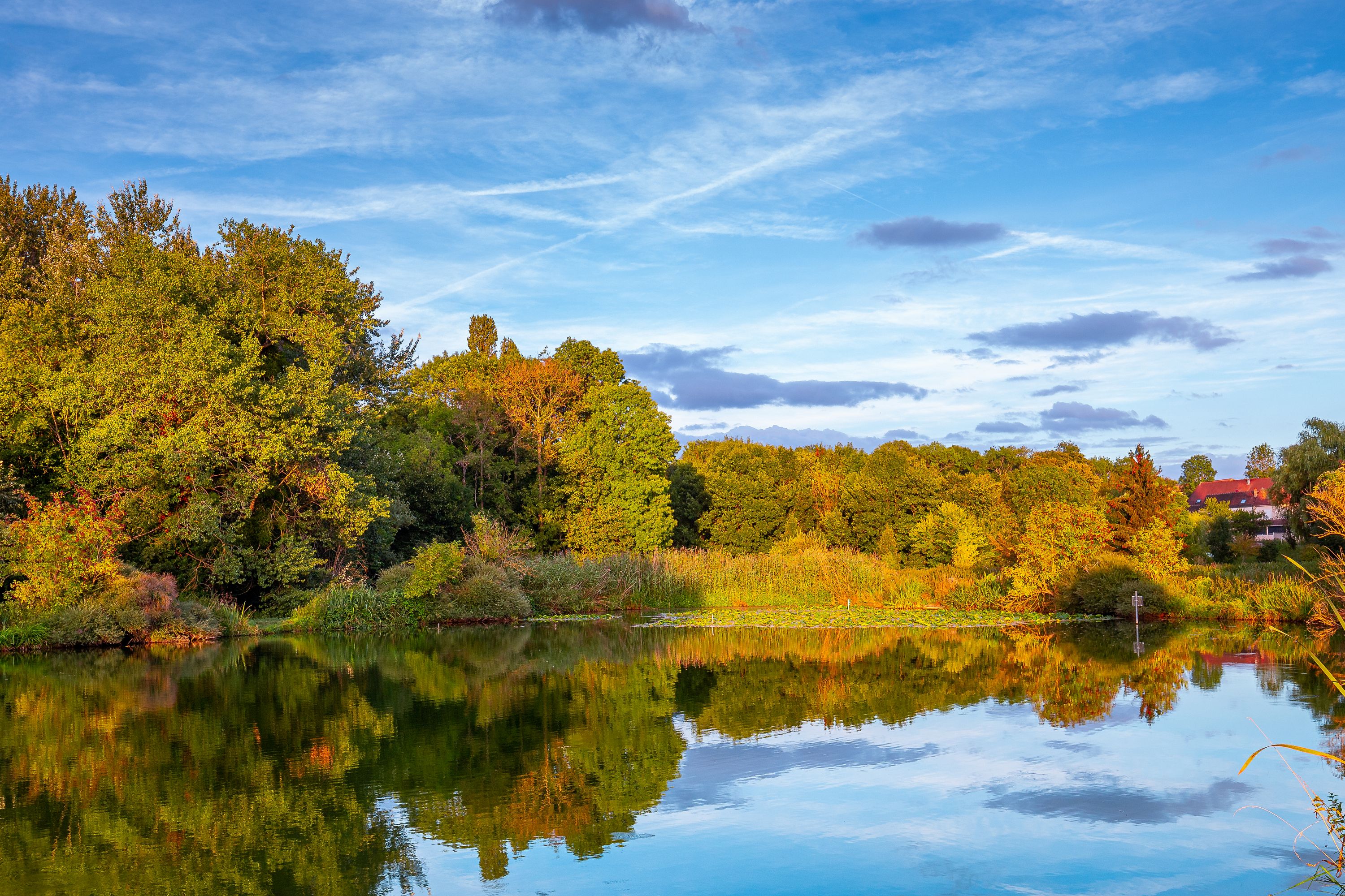 Golden Hour Reflections: Sunset on a pond in Santeny, France