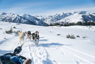 Dog sledding through a snowy, mountainous landscape in France