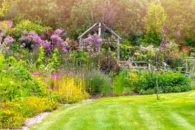 An English garden with beautiful pink and purple summer blooms