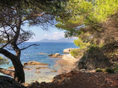 Crique sur l’île Sainte-Marguerite au large de Cannes