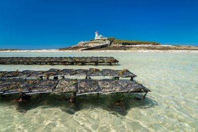 Parc à huîtres à Aber Wrac’h en Bretagne