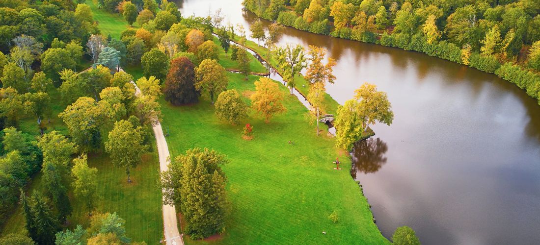 Autumn Splendor: Aerial View of Forest and River