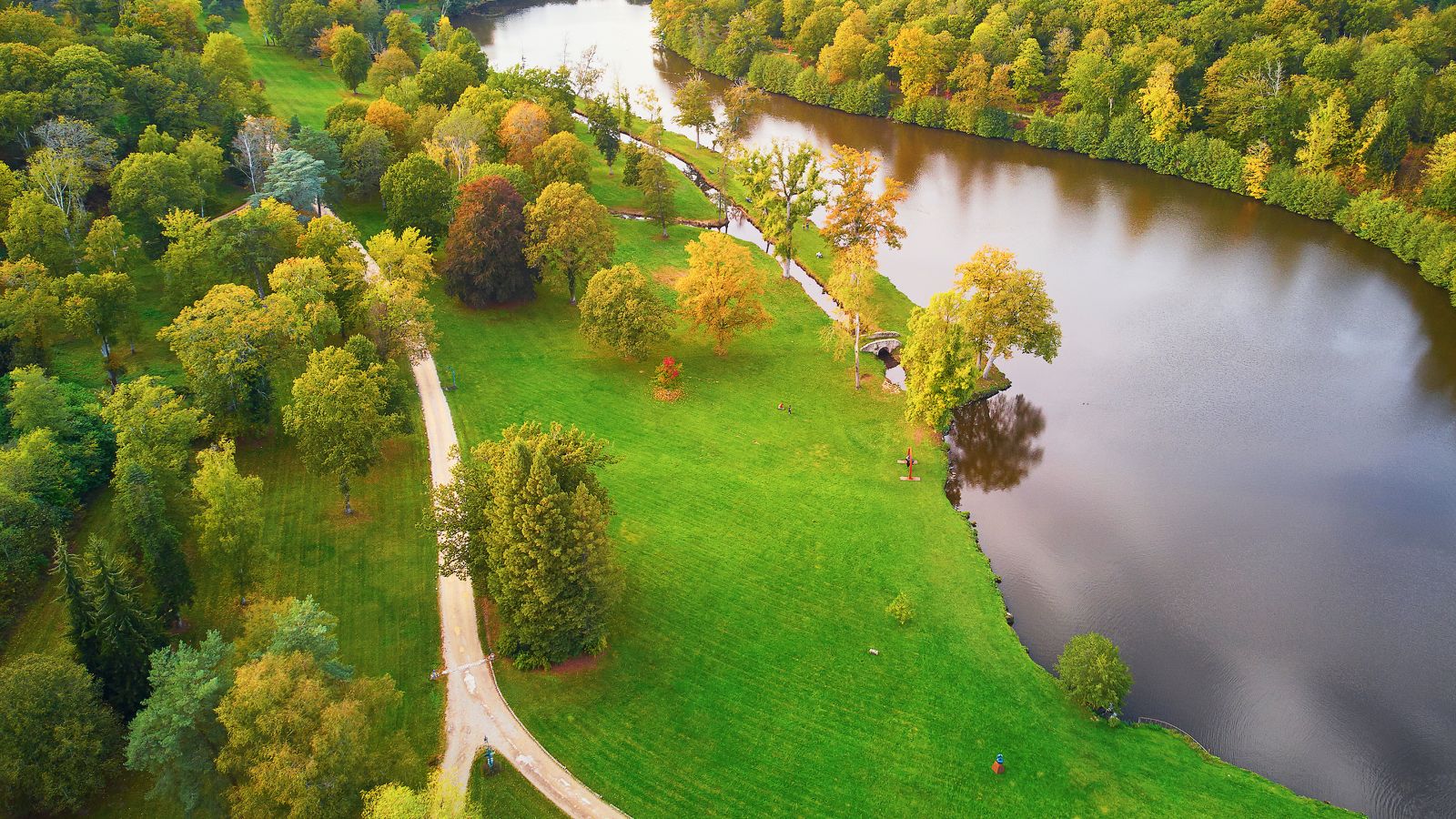 Autumn Splendor: Aerial View of Forest and River