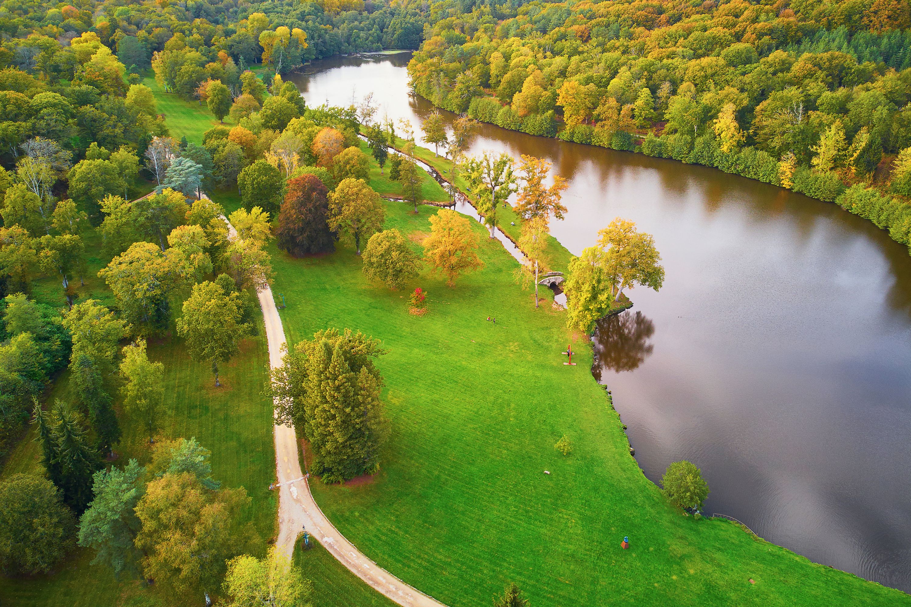 Autumn Splendor: Aerial View of Forest and River