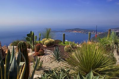 Cacti and succulents in the Exotic Garden overlooking the French Riviera in Èze