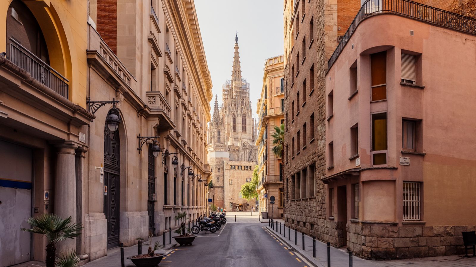 Viaduct Harbour in Auckland City