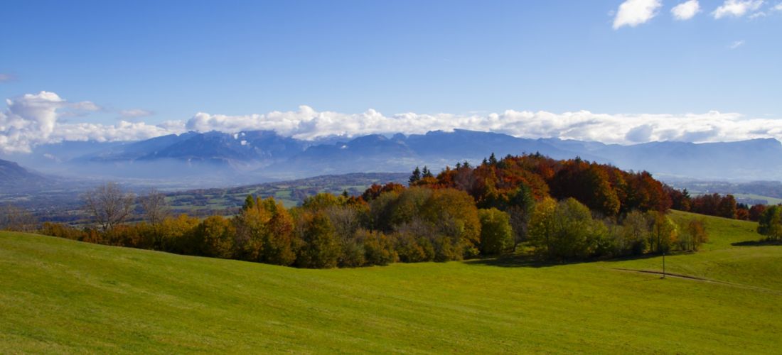 Autumn Colors on Mont Salève, French Alps