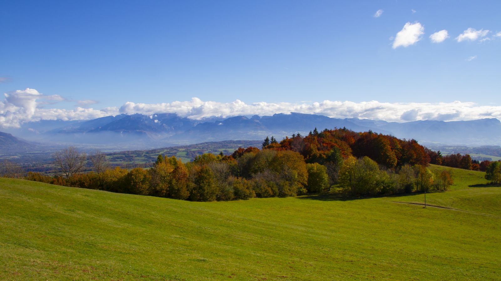Autumn Colors on Mont Salève, French Alps