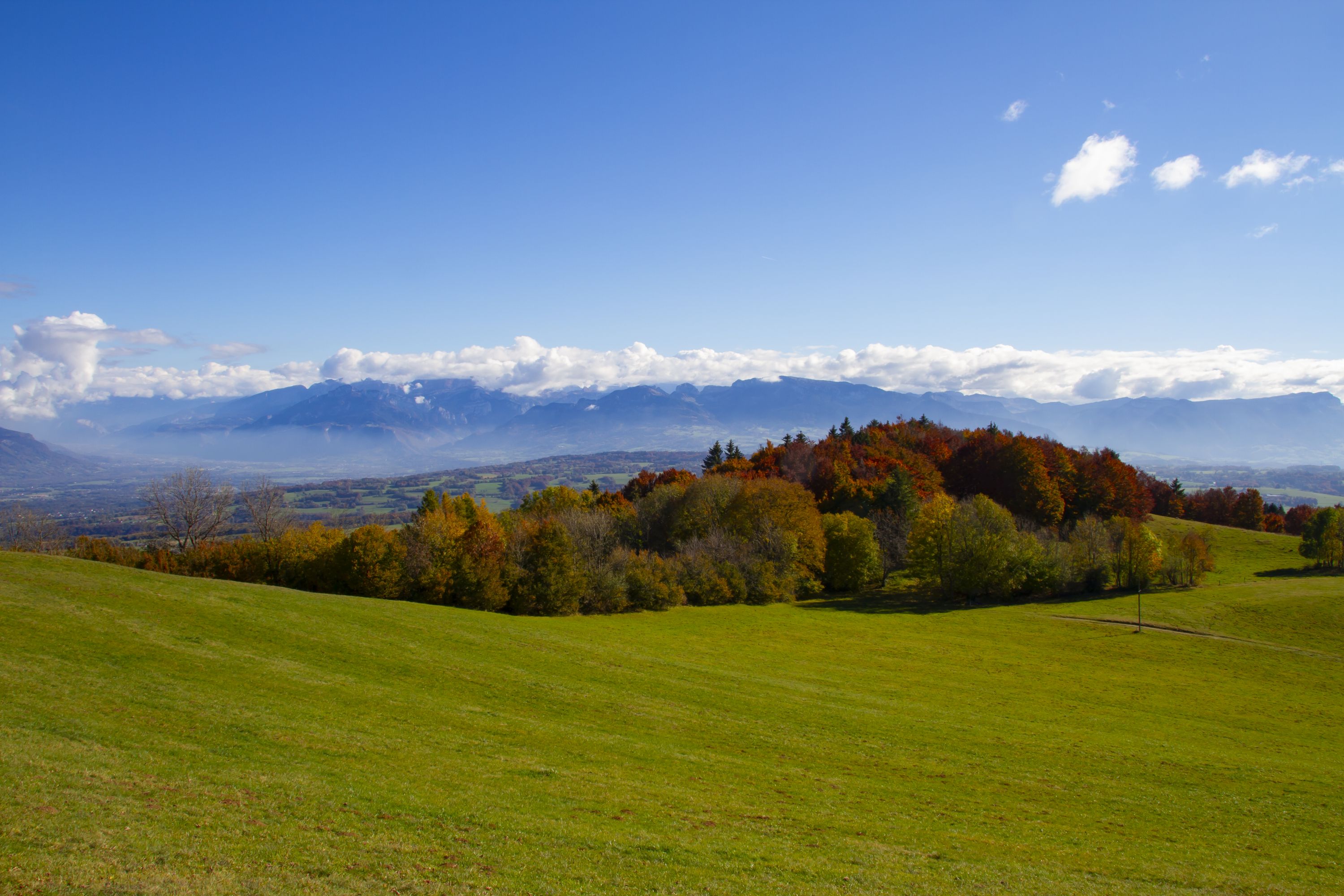 Autumn Colors on Mont Salève, French Alps