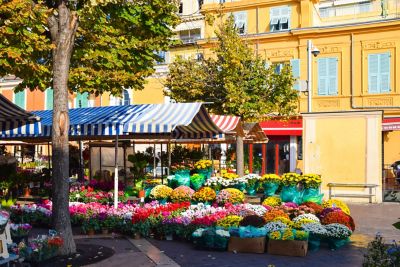 Colourful blooms at the Marché aux Fleurs on Cours Saleya in Nice, France