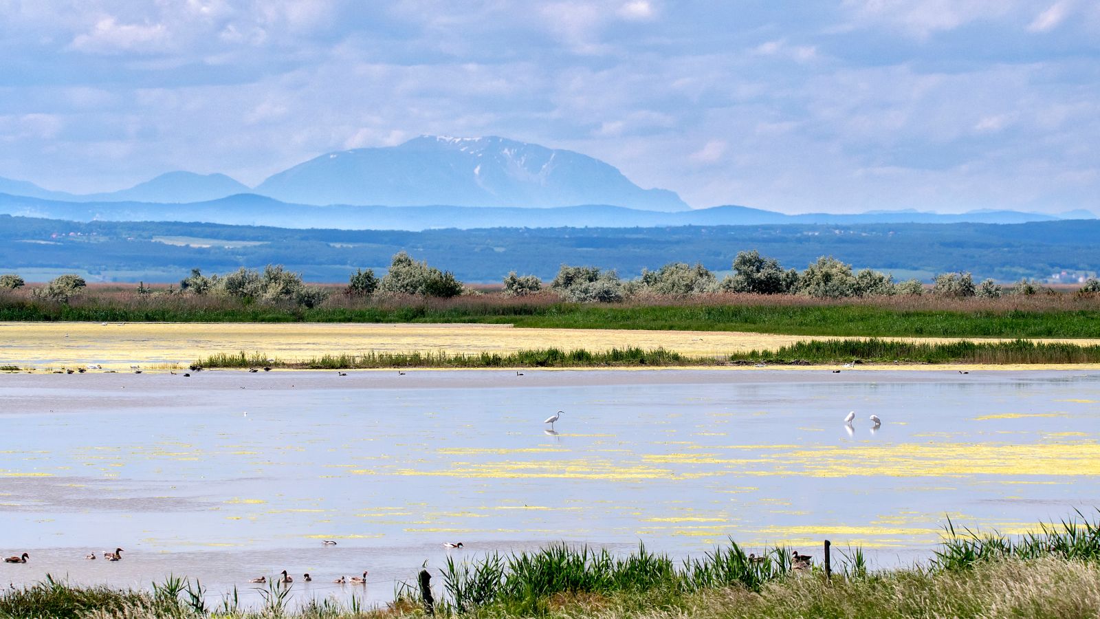 Serene Lake Neusiedl National Park with Schneeberg in Austria