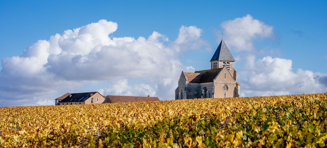 Autumn in Burgundy: Church Amidst Golden Vineyards