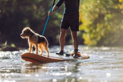 A paddleboarder with a small brown dog exploring a river