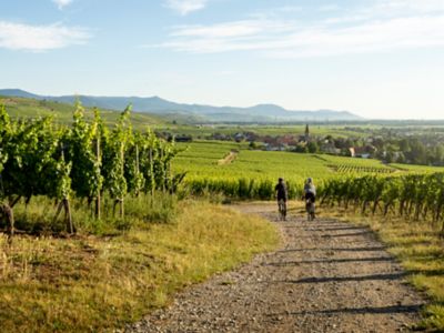 Deux personnes baladent à vélo dans vignoble dans le Médoc