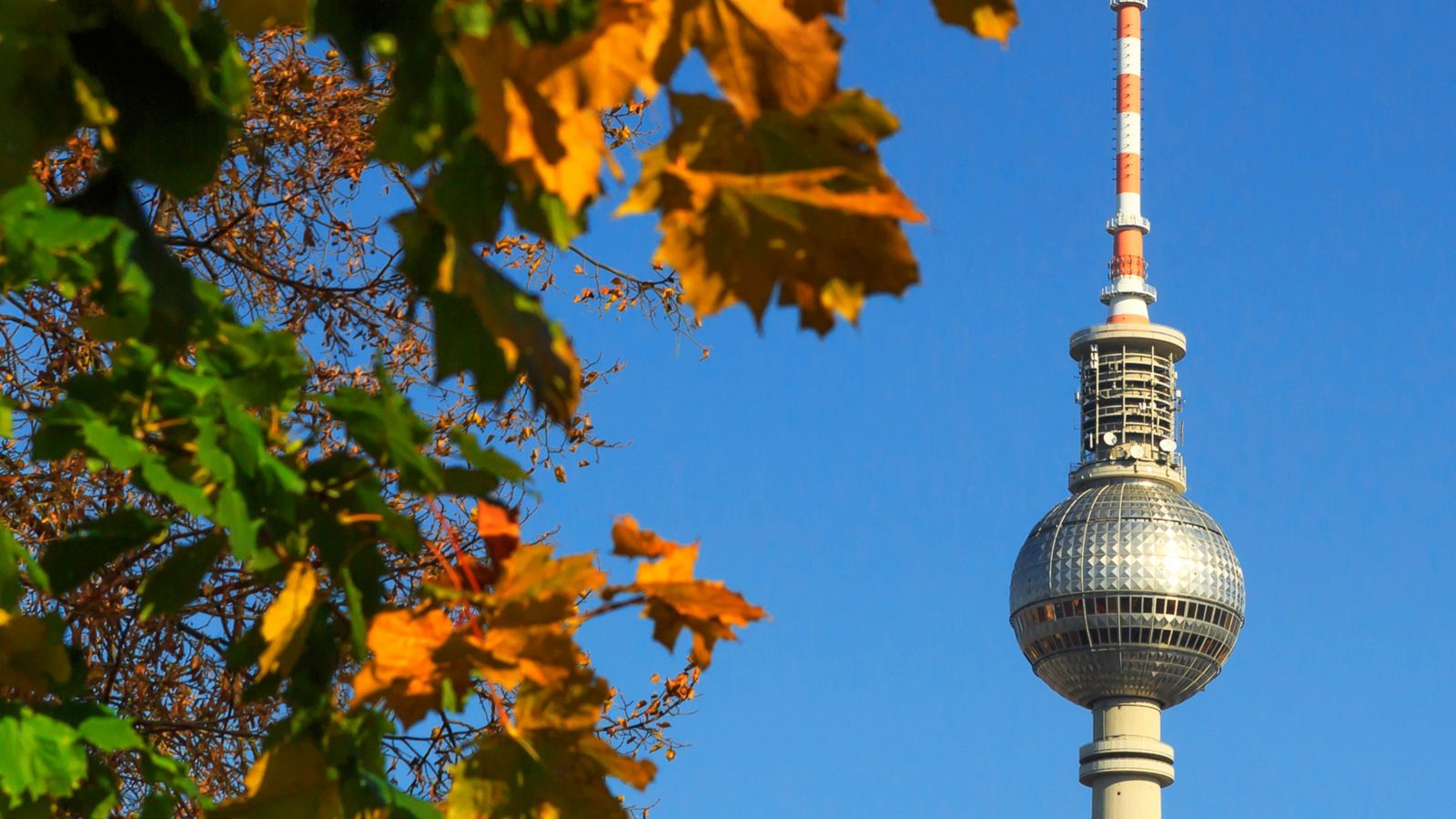 Viaduct Harbour in Auckland City