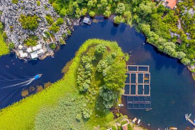 The shoreline of Lake Skadar, with a cruising boat on the deep blue water and a small village