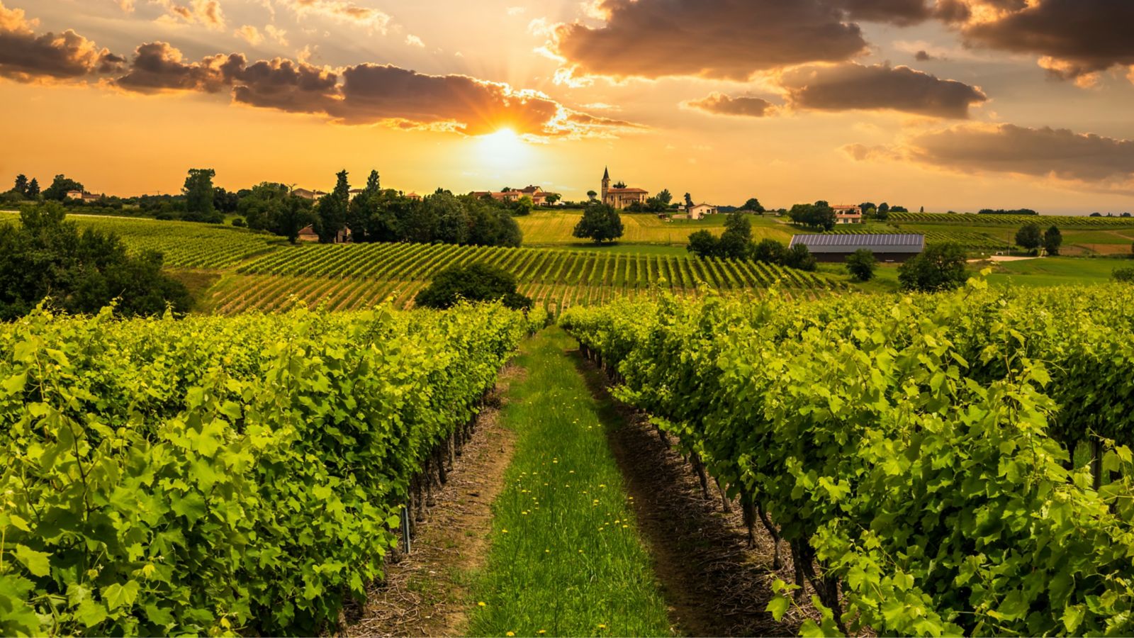 Sunset over French Vineyards and Village