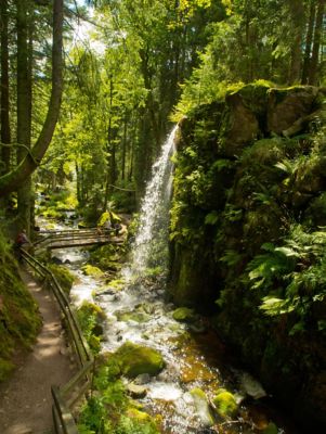 Menzenschwander Wasserfall im Schwarzwald mit Spazierweg über Holzbrücken im Gegenlicht