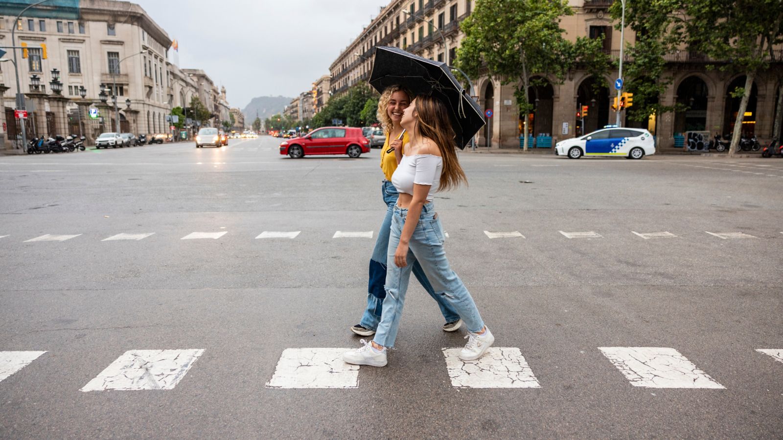 Viaduct Harbour in Auckland City