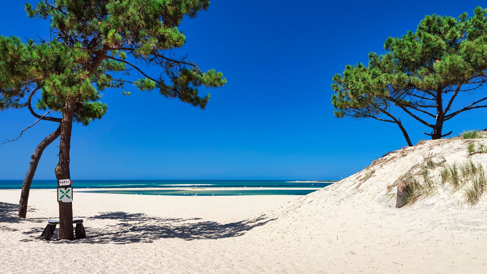 Sunny path to the beach at Dune du Pilat, France