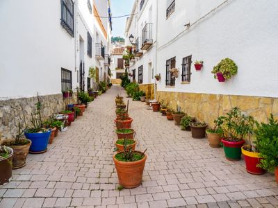 Calle estrecha encalada con macetas de terracota y plantas en un pueblo blanco