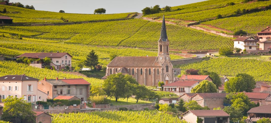 Vineyards and village of Vergisson in Burgundy