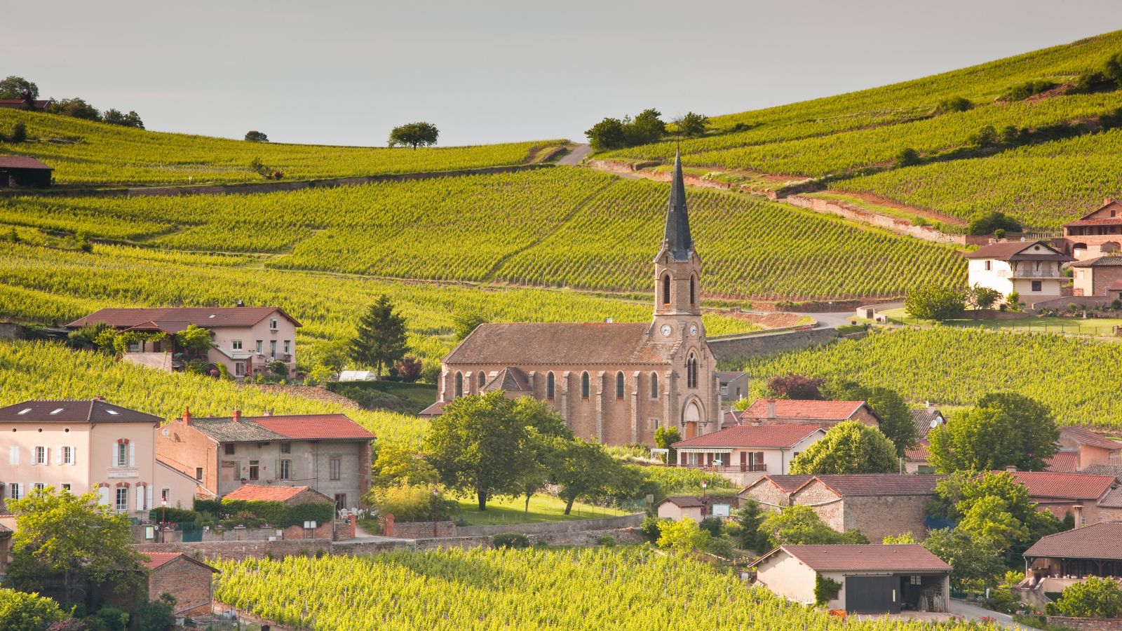 Vineyards and village of Vergisson in Burgundy