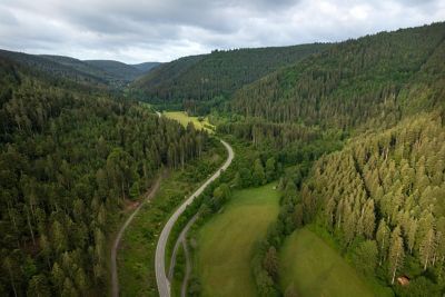 Une route sinueuse au cœur du parc national de la Forêt-Noire, près de Bad Wildbad