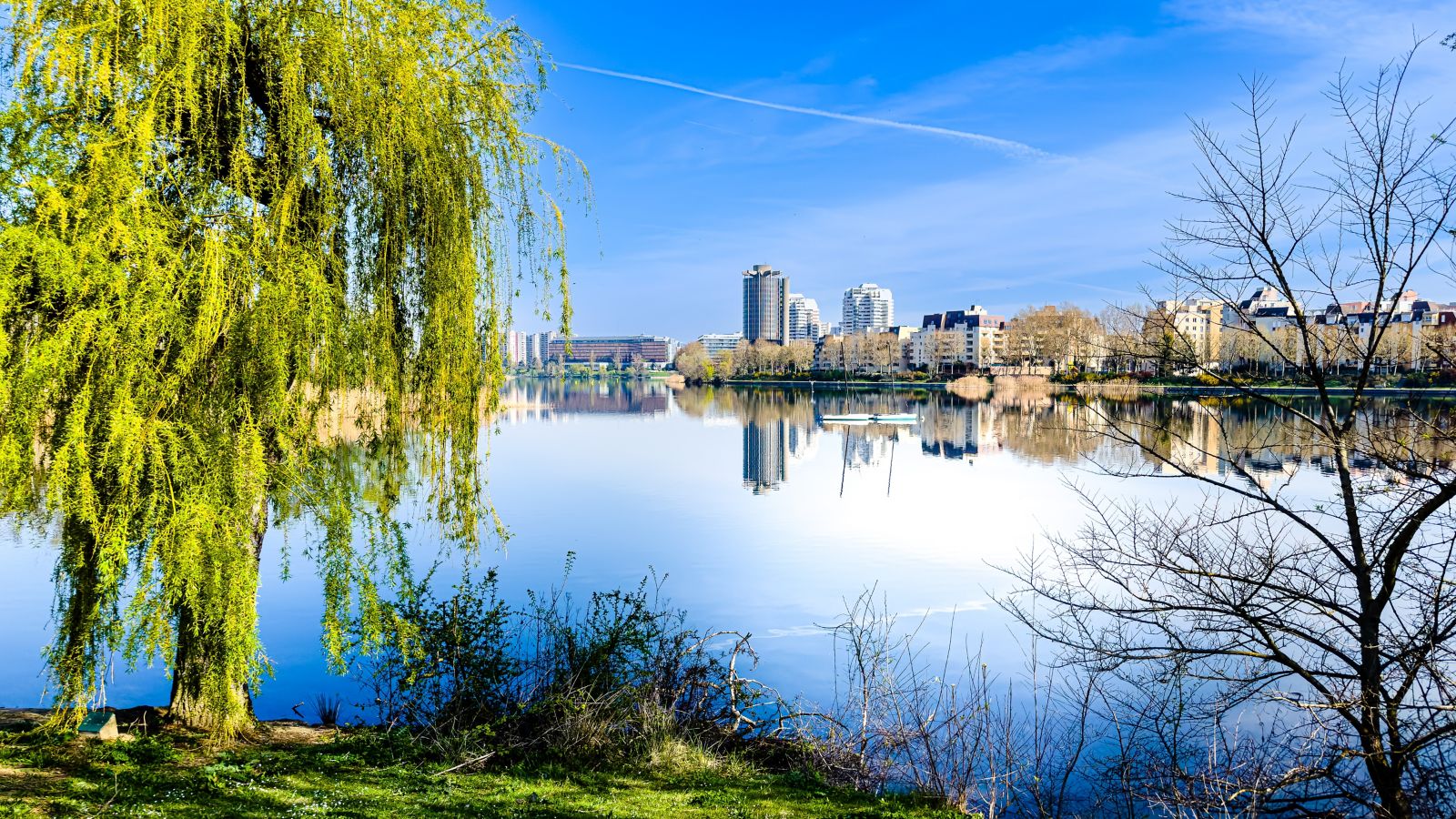 Springtime Serenity at Lake Creteil, Paris