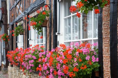 Maisons fleuries dans le centre de Beuvron-en-Auge, un village dans le Calvados