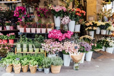 Colourful flowers on display at an outdoor market stall