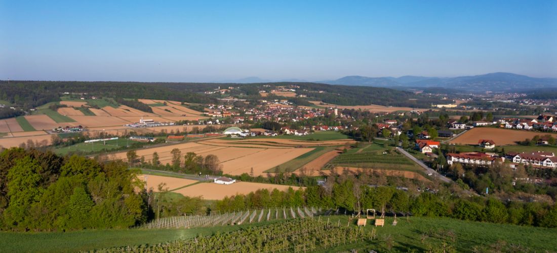 Idyllic Austrian Countryside and Fruit Orchards in Styria