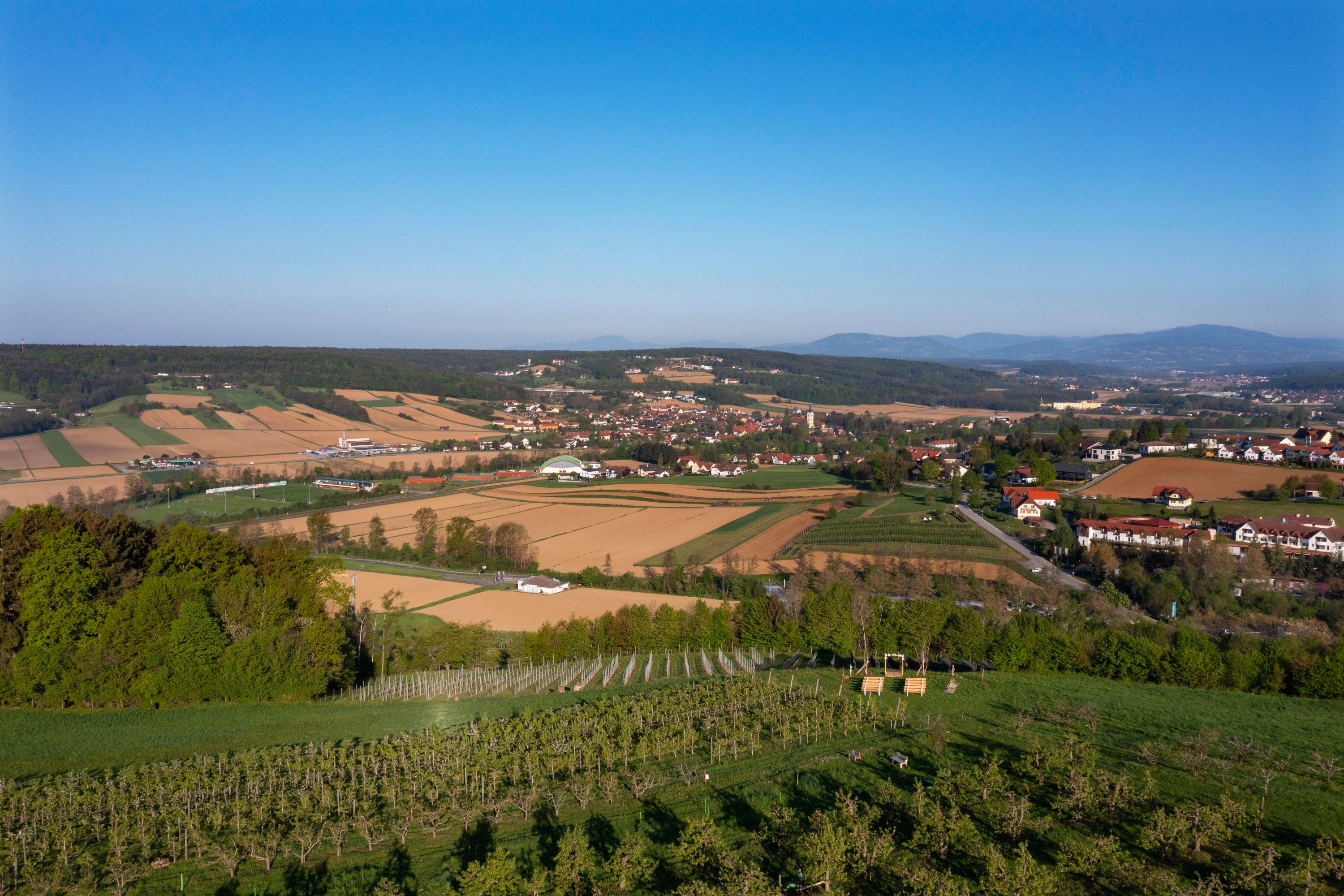 Idyllic Austrian Countryside and Fruit Orchards in Styria