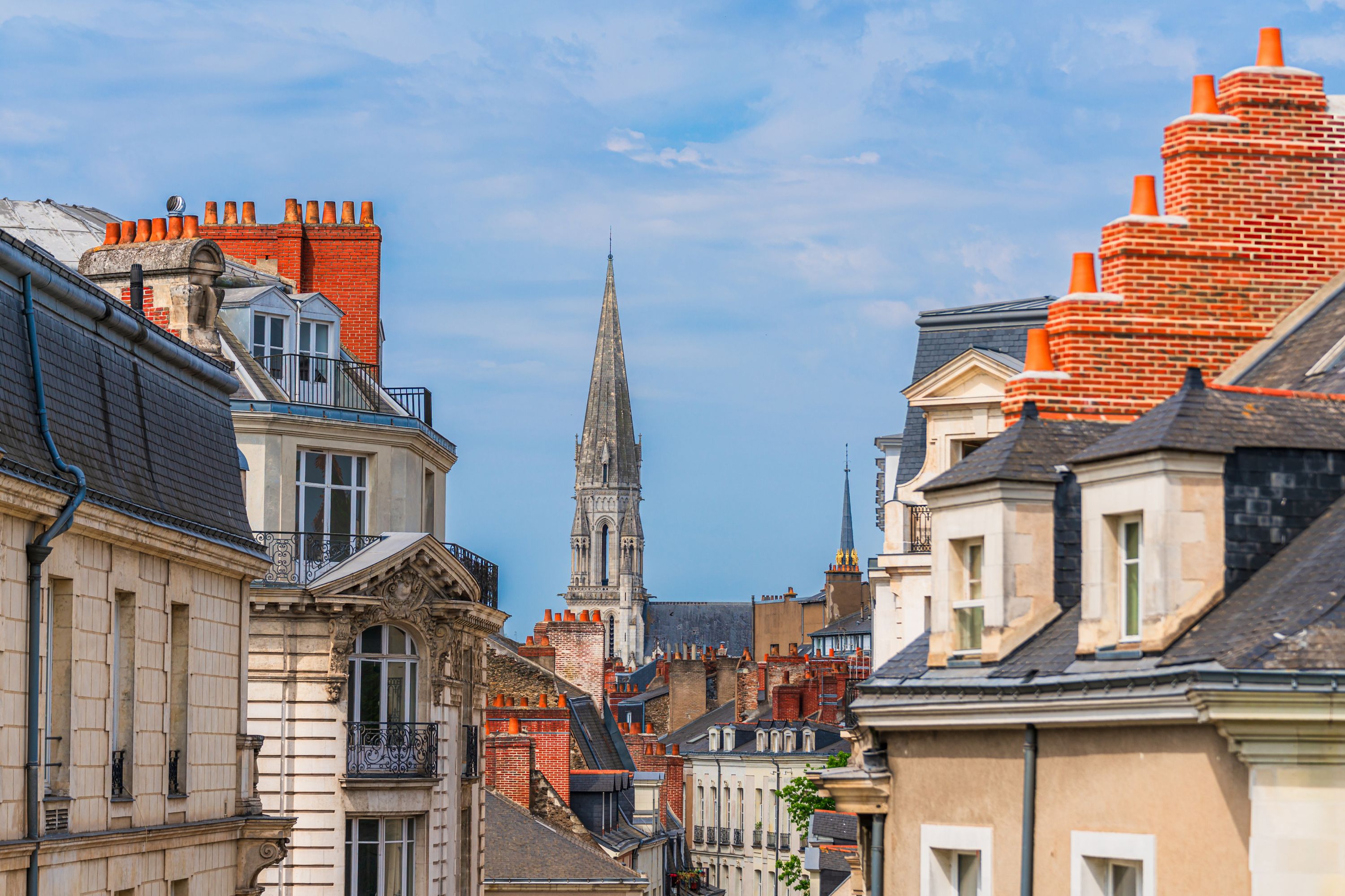 Charming Nantes Cityscape with Basilique Saint-Nicolas