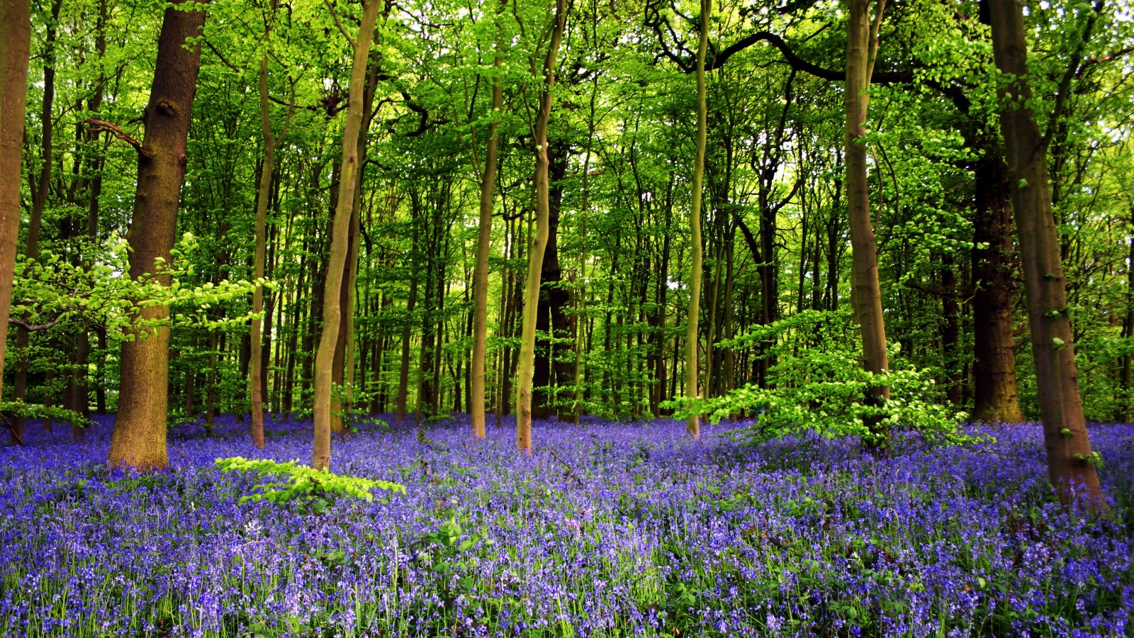 singapore, peranakan, food, nonya kueh, katong