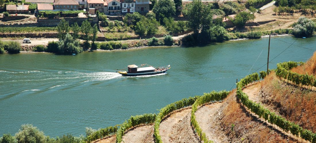 Scenic Douro River Cruise, Alto Douro