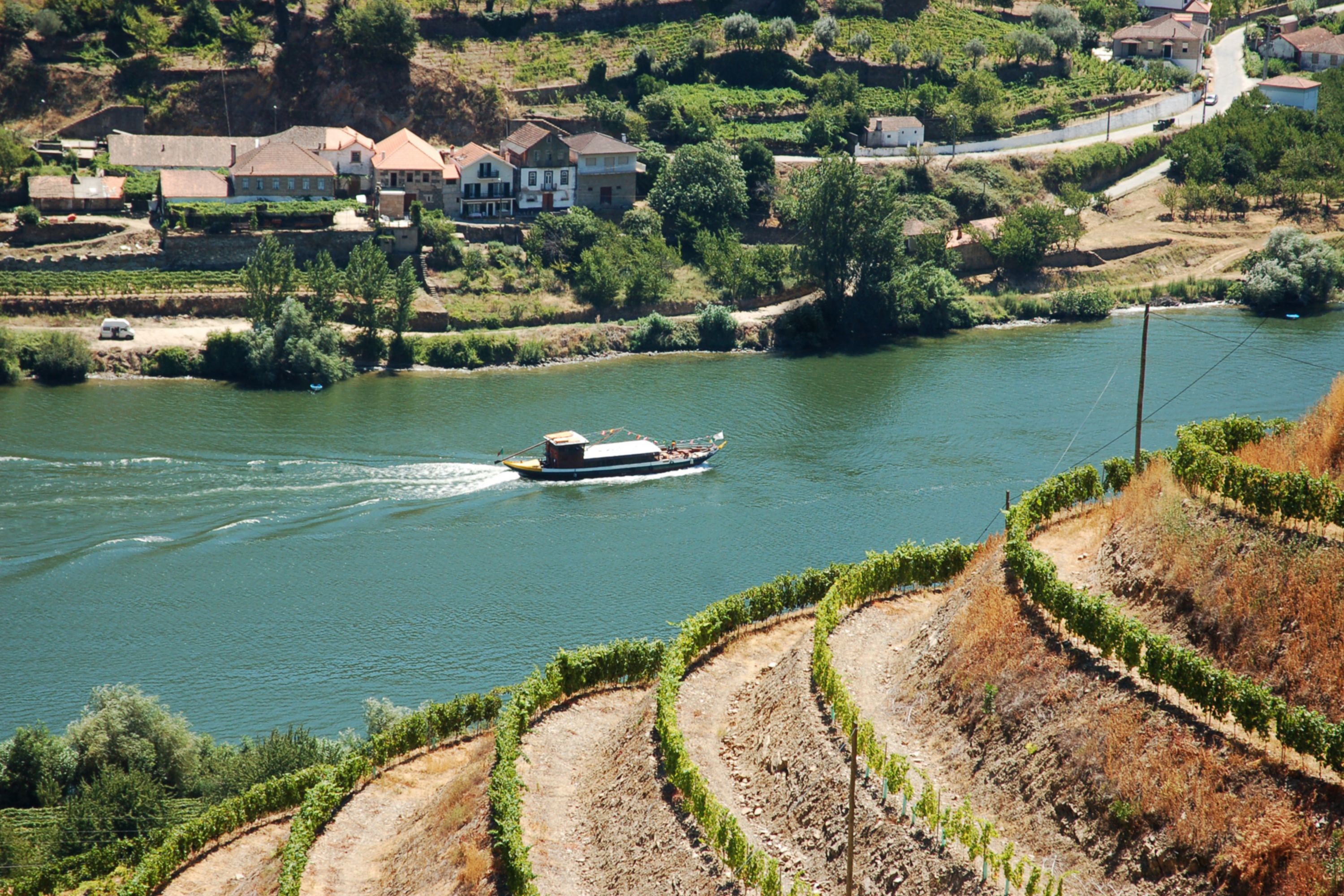 Scenic Douro River Cruise, Alto Douro