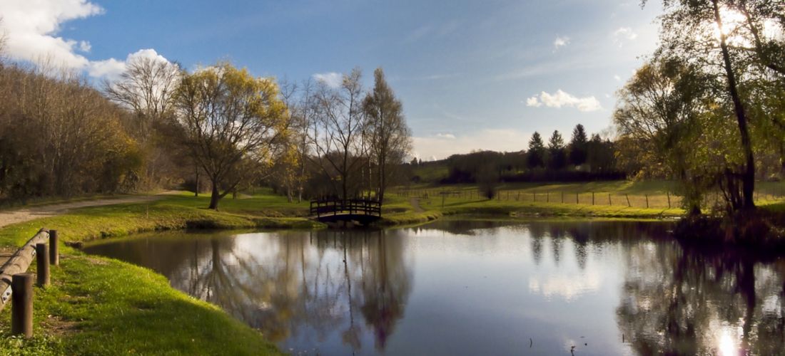 Autumn tranquility at Jardin de ville, St Quentin-Fallavier