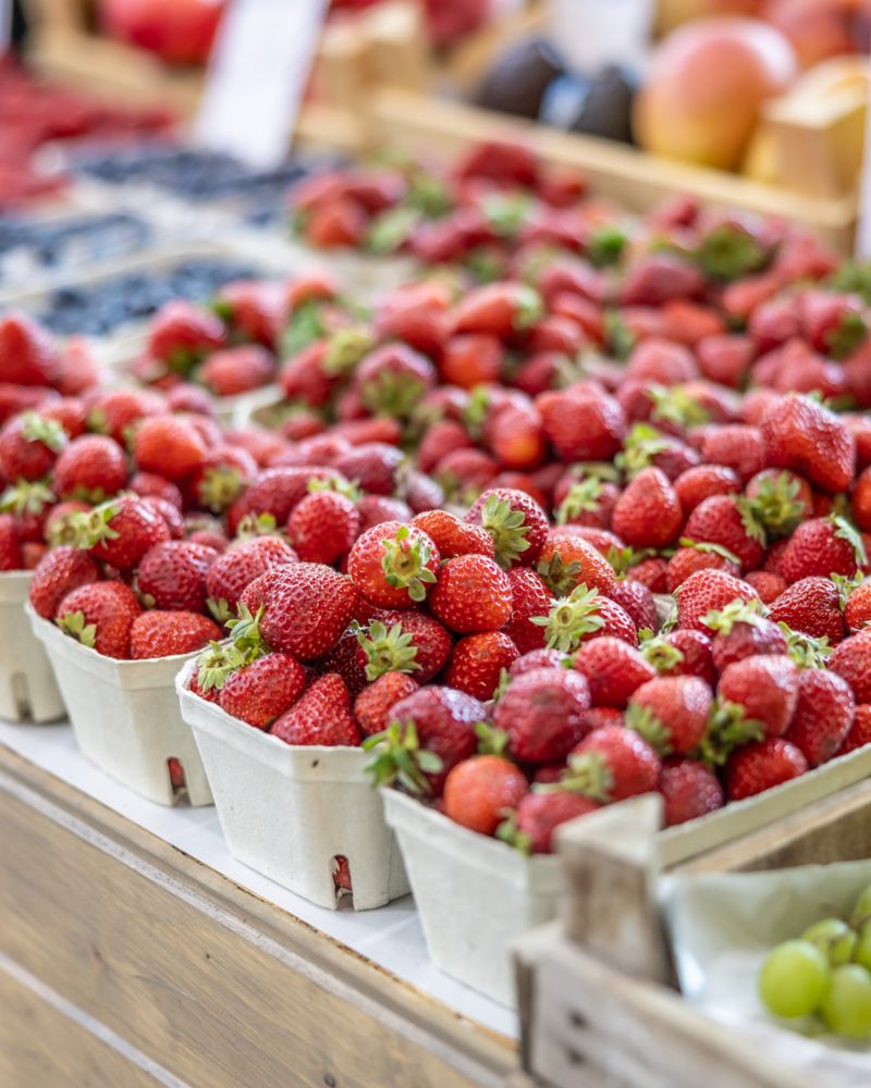 The Best Markets in Perth for Your Weekend in the City 