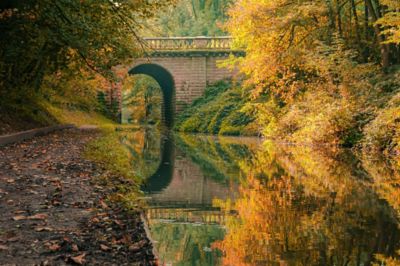 A tranquil canal in Wolverhampton lined with autumnal trees