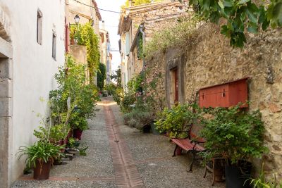  Ruelle en pente dans le village de Montolieu, bordée de maisons en pierre et de végétation