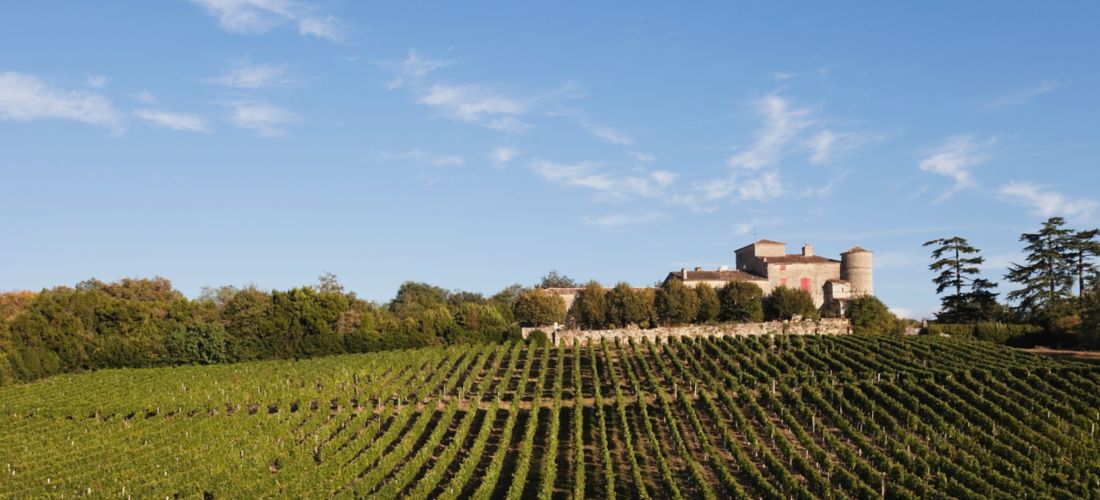 France-Bordeaux-Vineyard