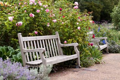 Idyllische Holzbänke umrankt von Rosen im Rosengarten des Hyde Parks, London