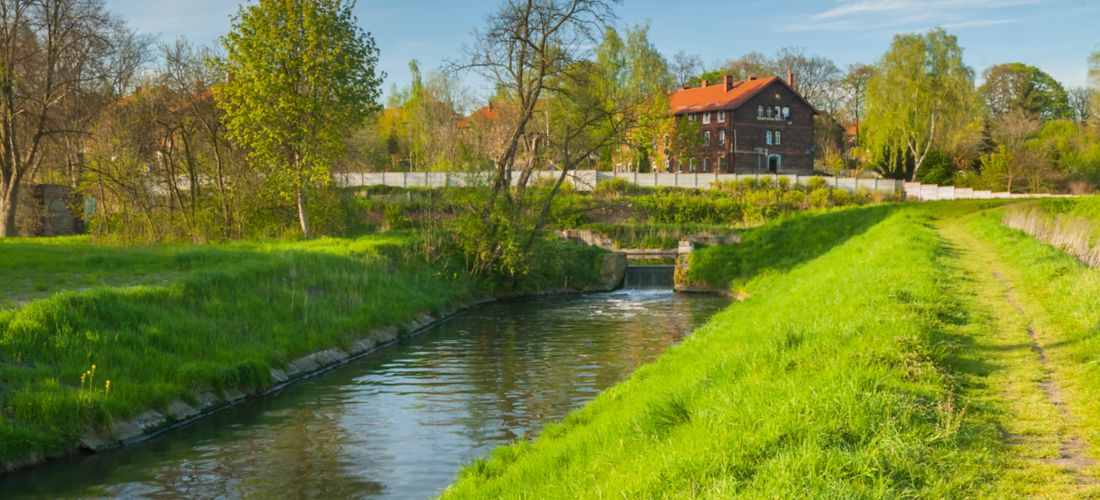 Springtime Tranquility: Bytomka Creek in Borsigwerk, Poland