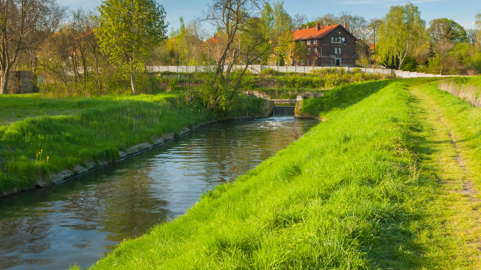 Springtime Tranquility: Bytomka Creek in Borsigwerk, Poland