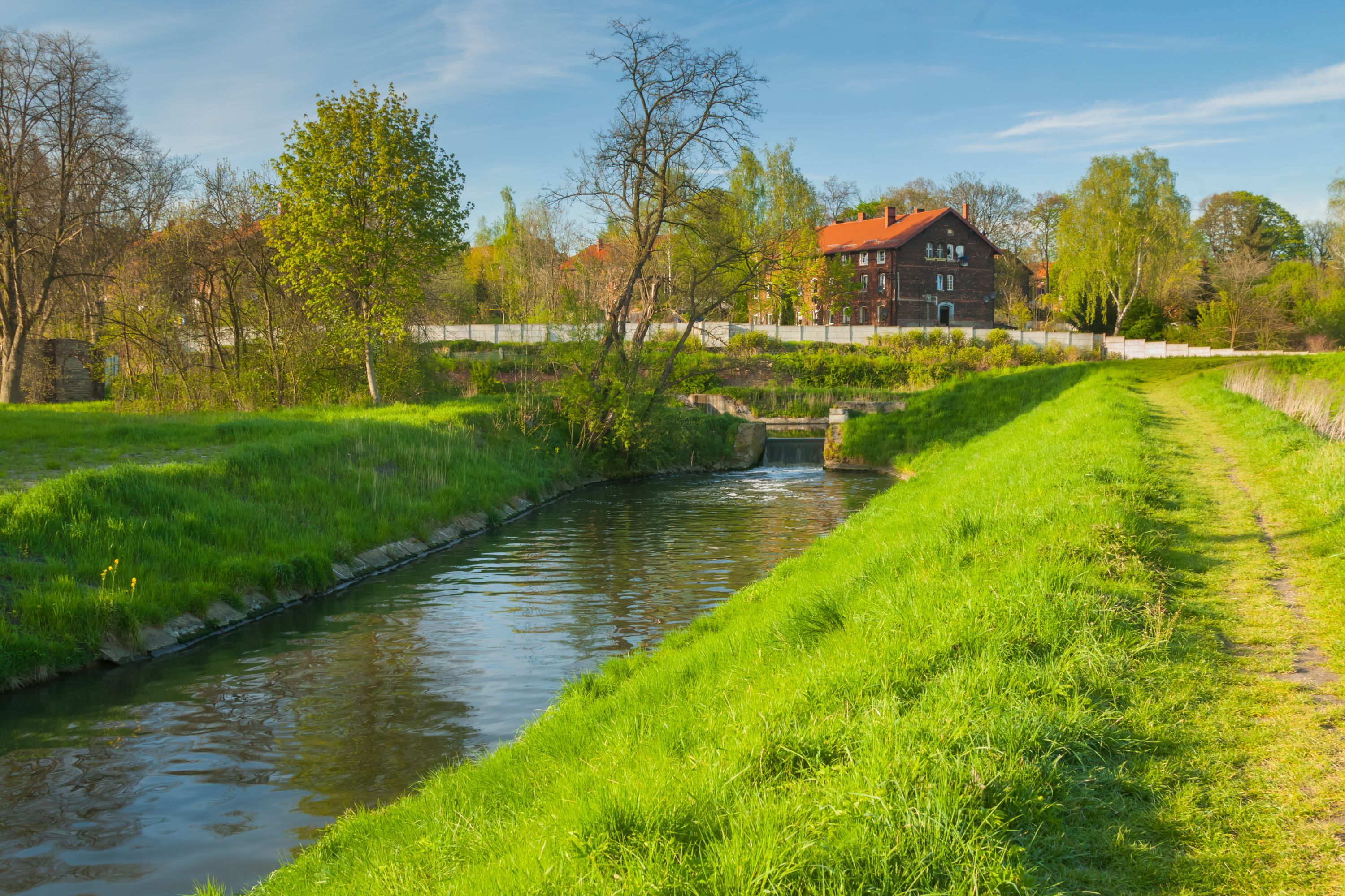 Springtime Tranquility: Bytomka Creek in Borsigwerk, Poland